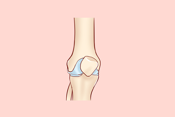 膝关节韧带在什么位置